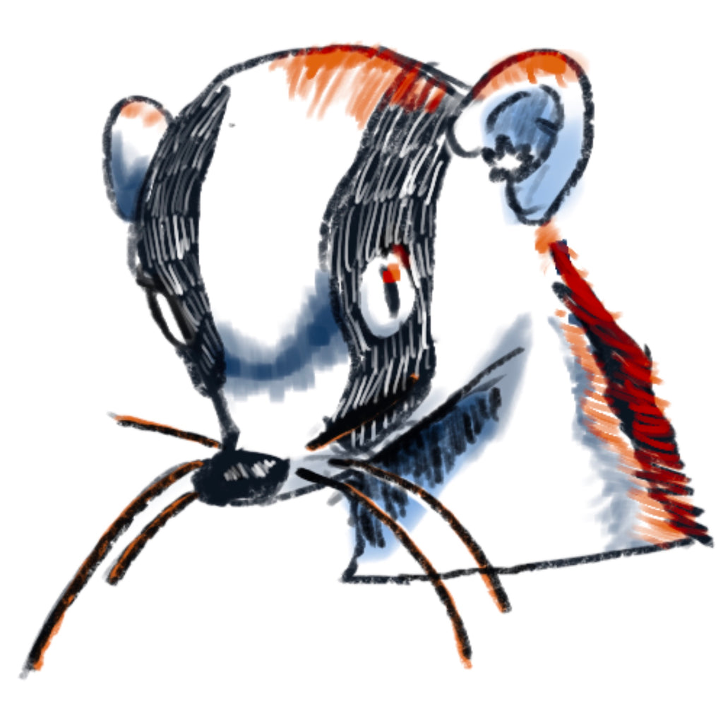 "Weasel" | Sticker