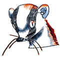 "Weasel" | Sticker
